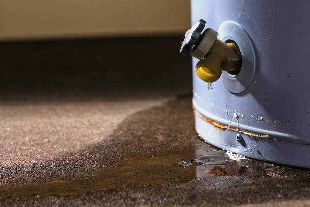 24/7 water damage repair in Lake Of The Woods, AZ