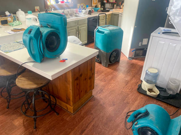 Best Residential water damage restoration  in Lake Of The Woods, AZ