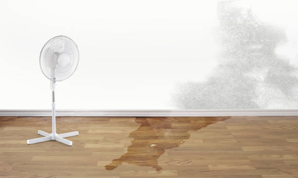 Lake Of The Woods, AZ Water damage restoration Pros