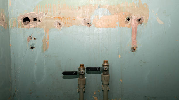 Best Ceiling water damage repair  in Lake Of The Woods, AZ