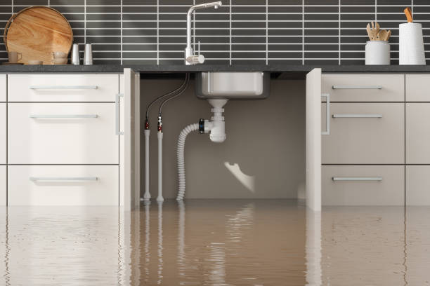 Best Water damage restoration near me  in Lake Of The Woods, AZ