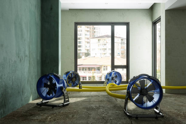 Water damage restoration experts in Lake Of The Woods, AZ